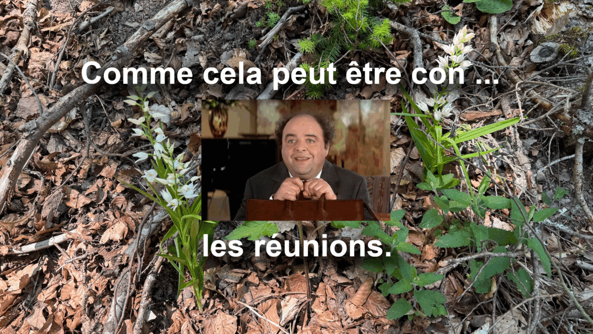 Oh Pignon