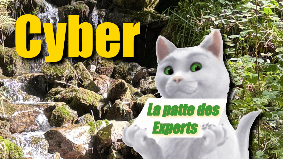 Cyber, La patte des Experts
