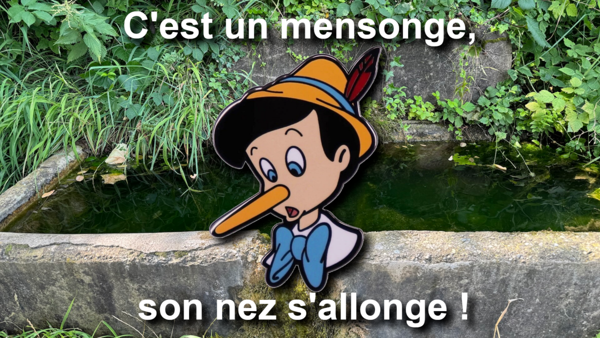 Accusateurs Pinocchio