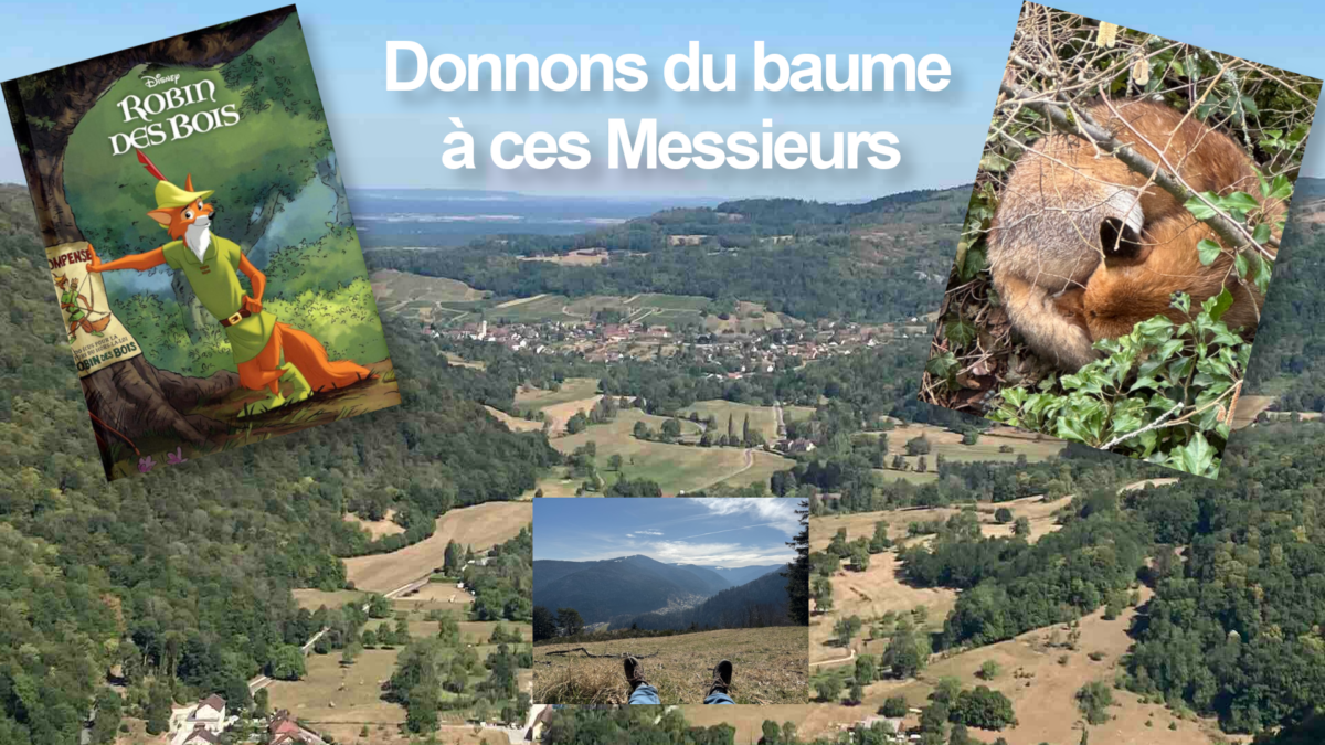 Donnons du baume à ces Messieurs