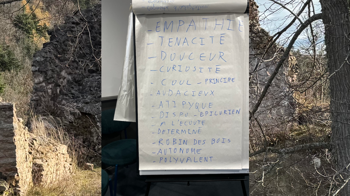 « Séminaires d’entreprise » :Coach vs Psychologue, à en perdre son Latin