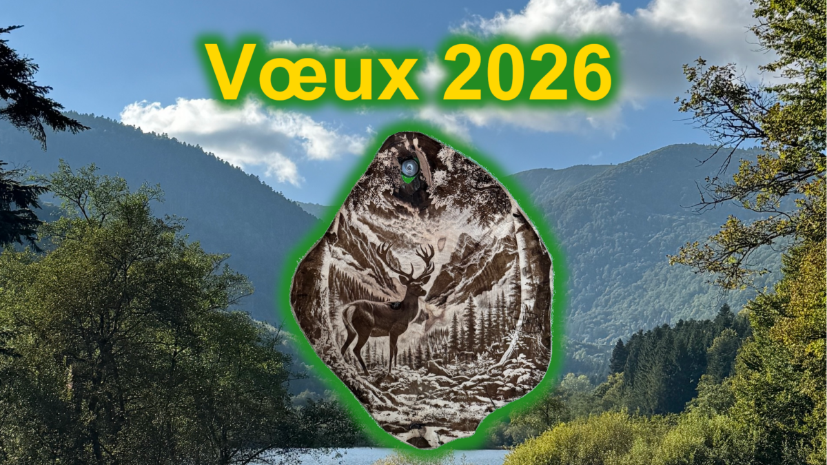 Vœux 2026