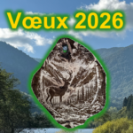 Les vœux pour 2026 de Sécurité Opérateur Santé informatique - SOSi