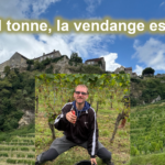 Vendanges & Vigneron