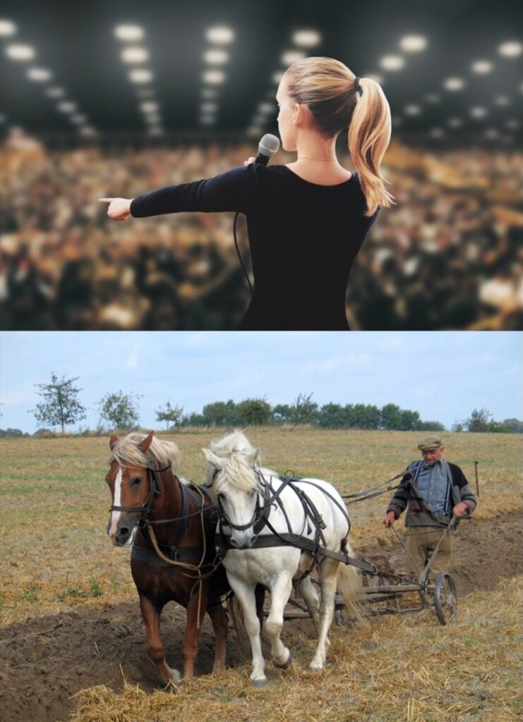 Leaders vs Parleurs