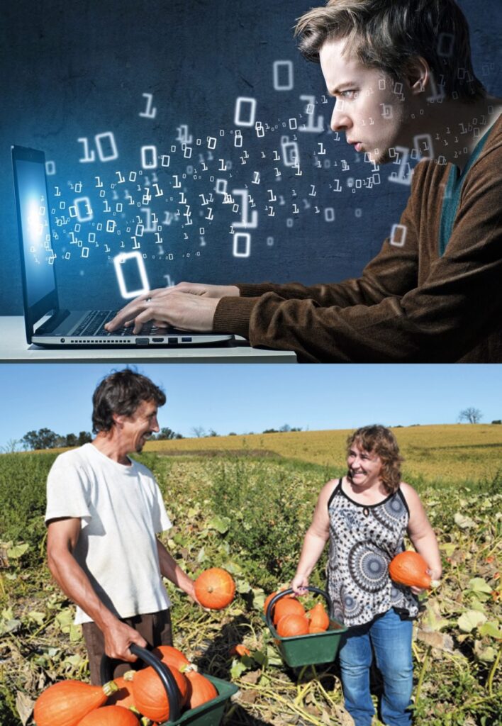 Plantes vs Informatique